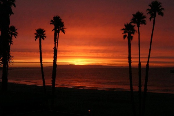 Casablanca Inn on The Beach image 8